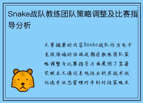 Snake战队教练团队策略调整及比赛指导分析