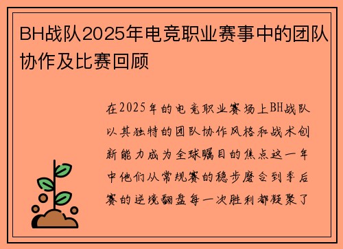 BH战队2025年电竞职业赛事中的团队协作及比赛回顾